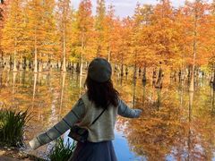 -白鹭湾湿地公园