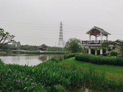 -王借岗森林公园