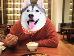 -林芝工布庄园希尔顿酒店-猎味中餐厅