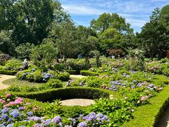 -上海共青森林公园