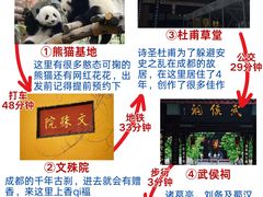 -成都大熊猫繁育研究基地