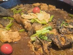 -老板恋上鱼(恒隆广场店)