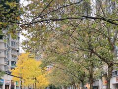 -川匠·睡眠采耳·SPA(九眼桥店)