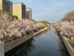 -海棠花溪(元大都城垣遗址公园)