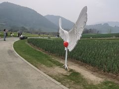 -径山花海