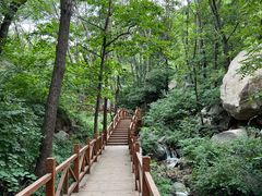 -大岭沟猕猴桃谷风景区