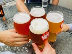 -Boxing Cat Brewery拳击猫精酿啤酒馆(思南公馆店)