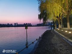 -天鹅湖体育公园