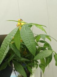 -美兮美学·日式美甲美睫