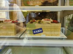 -维尔纳斯·生日蛋糕动物奶油冰淇淋蛋糕(人大店)