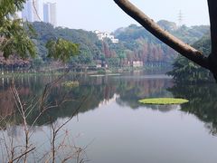 -重庆彩云湖湿地公园
