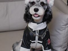 -FAELING PETS美天灵宠物(合生汇店)