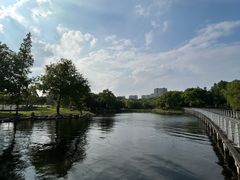 -蠡湖大桥公园