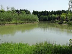 -南湖湿地公园