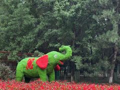 -长白岛森林公园