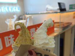 -野人先生现做冰淇淋(西安赛格店)