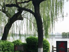 -济南大明湖景区