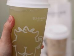 铁观音油柑茶-茶力的小怪兽(梅林卓悦汇店)