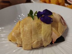 -新白鹿餐厅(百联中环店)