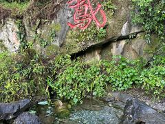 -靖西鹅泉风景区