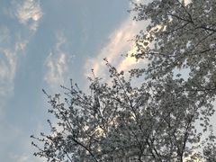 -钱塘江