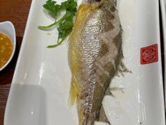 冻金龙鱼-潮名荟潮州菜馆(祈福缤纷世界店)