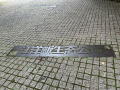 -西湖风景区-江洋畈生态公园