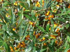 景点-墨石公园景区