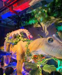 -恐龙探索乐园(磁器口店)