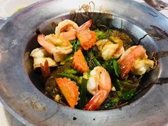 -Jungle Kitchen