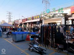 -中环花鸟鱼虫市场