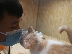 -屋虎猫馆(宝安大仟里店)