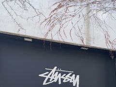 -STUSSY(狎鸥亭路46街店 )