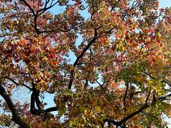 -艾溪湖湿地公园