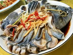 -煲来饱去冷水鱼