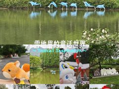 -森波拉奇妙世界