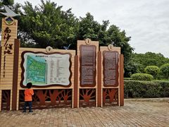-大湾区中央湿地公园