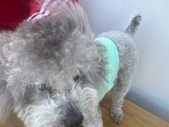 -小意思咖啡店(草桥店)