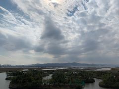 -漩门湾国家湿地公园