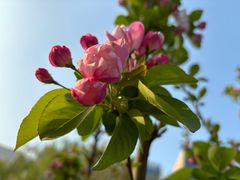 -海棠花溪(元大都城垣遗址公园)