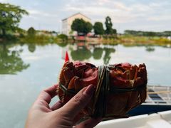 -水岸居湖景农家乐·阳澄湖大闸蟹