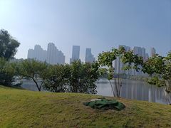 -月湖风景区