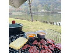 -王借岗森林公园