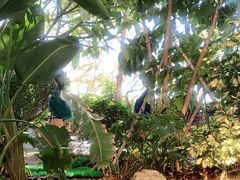 -厦门途易蓝罗约海景温泉酒店(园博苑地铁站店)