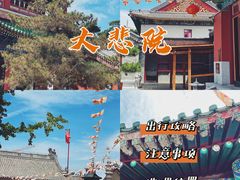 -天津大悲禅院