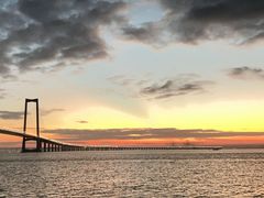 -宝安西湾红树林湿地公园