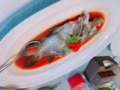 -宝燕壹号(徐汇店)