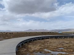 -花湖生态旅游区