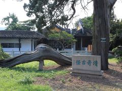 -司徒庙