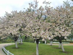 -玄武湖景区-情侣园游乐场